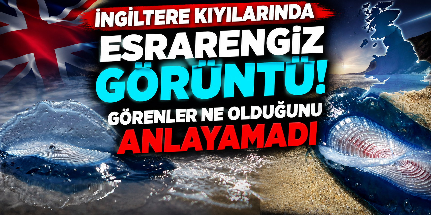 Denizanası Sandılar, Gerçek Bambaşka Çıktı: St Bees Plajı Maviye Boyandı!