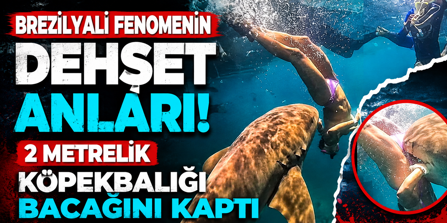 Fenomen Tayane Dalazen Dalış Turunda Dehşeti Yaşadı! 2 Metrelik Köpekbalığı...