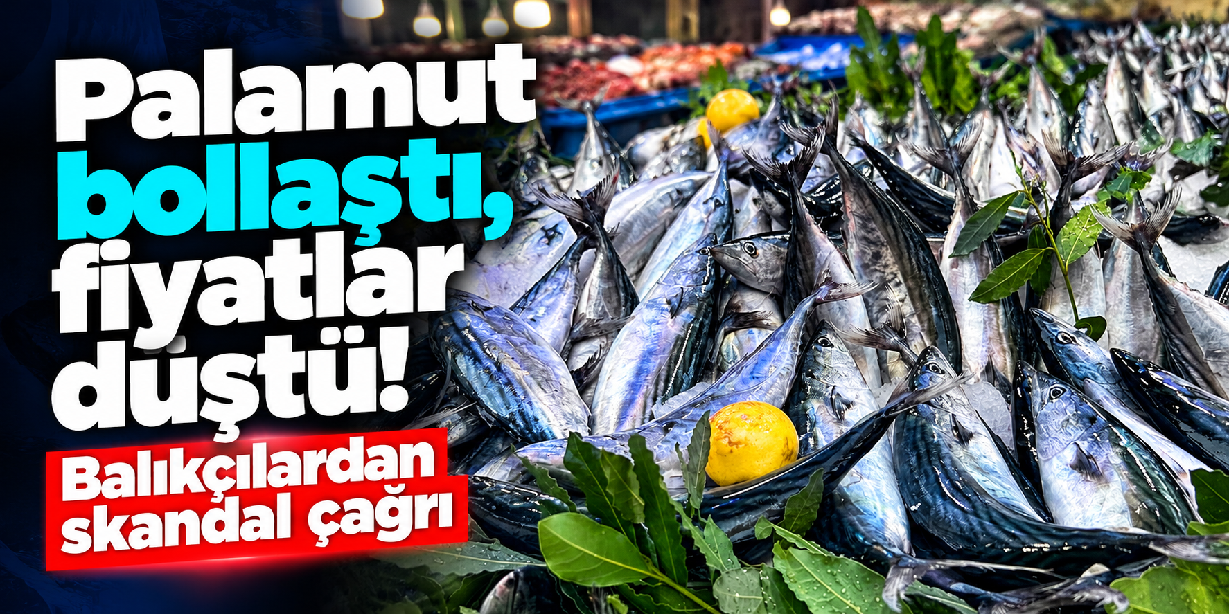 Palamut ucuzlayınca balıkçılardan şaşırtan karar! Avlanmayı durdurun çağrısı