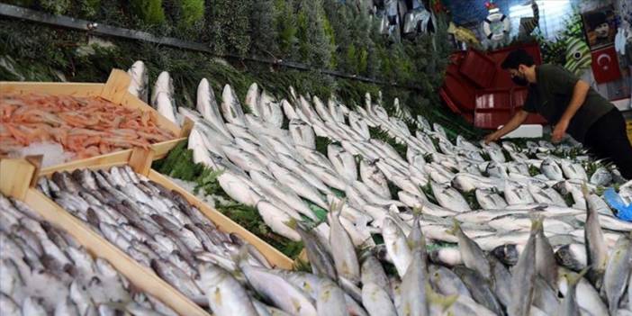 Tezgahta en ucuz ve en pahalı balıklar belli oldu!