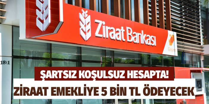 Ziraat Bankası'ndan emeklilere 5 bin lira ödeme duyuruldu! Şart yok koşul yok hesaplara yatırılıyor