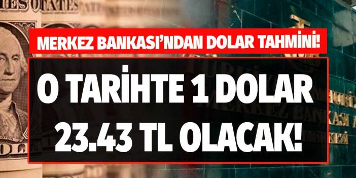 Merkez Bankası 2023 yılının ilk dolar tahminini yaptı! Doların 23.43 TL olacağı tarihi TCMB açıkladı