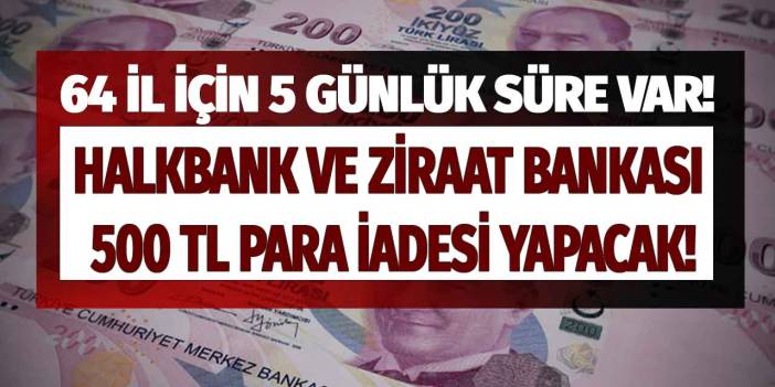 Bakan duyurdu! Ziraat Bankası ve Halkbank'tan 64 ilde 5 gün içinde başvuru yapana 500 TL para iadesi