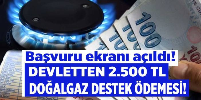 Aile Bakanlığı başvuru ekranını açtı! İhtiyaç sahibi vatandaşlara aylık 2.500 TL doğalgaz yardımı parası