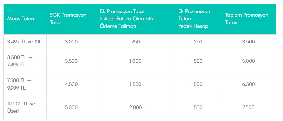 promosoyn-rakamlari.jpg