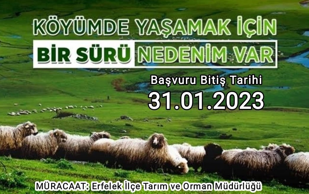 koye-donus-kredisi.jpg