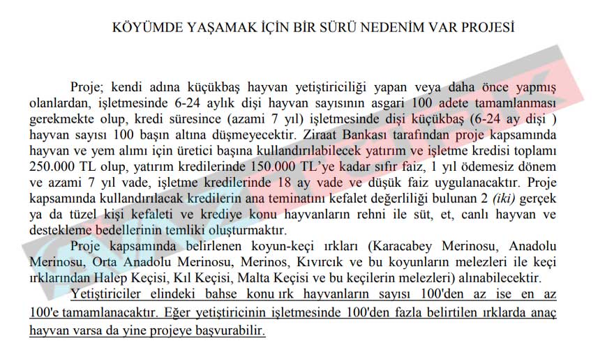 koye-donus.jpg