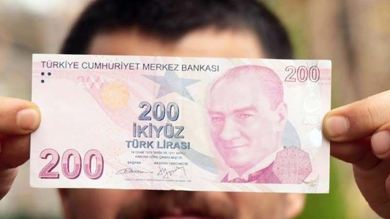 bddk-acikladi-turk-lirasi-yatirimlari-rekor-seviyeye-ulasti-2.jpg