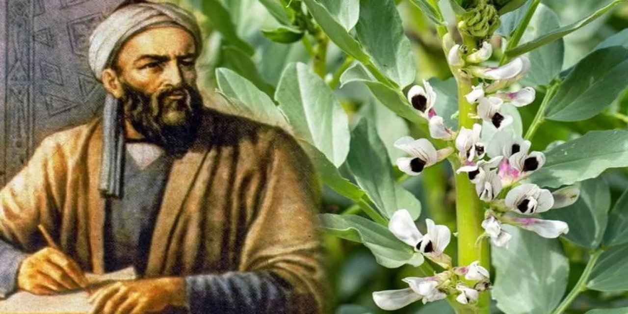 ibn-i-sinanin-bu-recetesi-afrodizyak-etkisi-yaratip-cinsel-problemleri-cozuyor-2.jpg