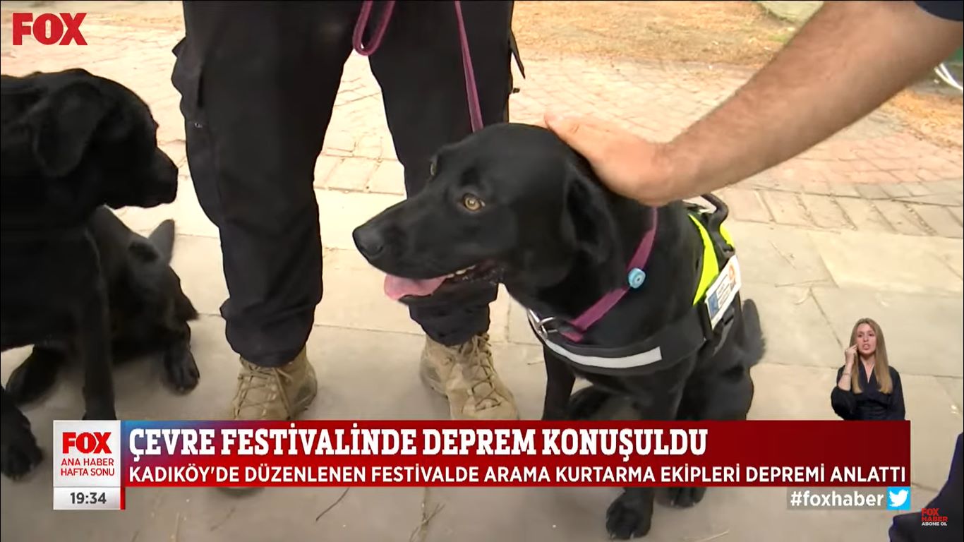 hatay-depreminde-16-cani-kurtaran-kopek.jpg