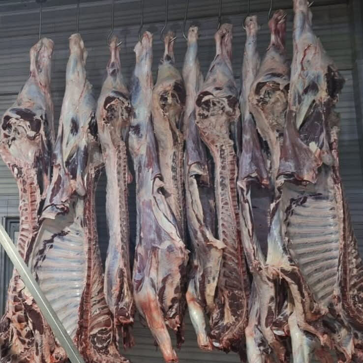 yasa-disi-yollarla-27-adet-getirmisler-buyukbas-hayvan-sevkine-105-bin-tl-ceza-17446477841574-3.jpg