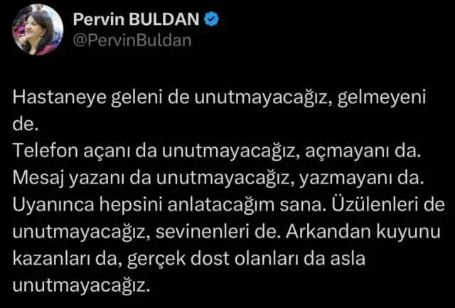 pervin-buldan-dan-sitem-dolu-sirri-sureyya-onder-18526953-7992-m.webp